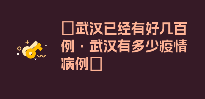 〖武汉已经有好几百例·武汉有多少疫情病例〗