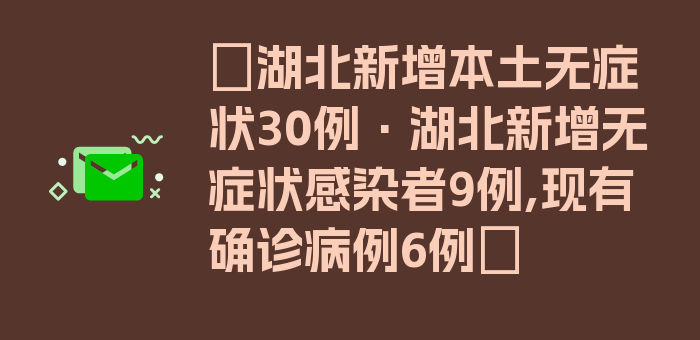 〖湖北新增本土无症状30例·湖北新增无症状感染者9例,现有确诊病例6例〗