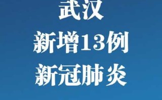 〖湖北新增本土确诊病例1例_湖北新增确诊一例〗