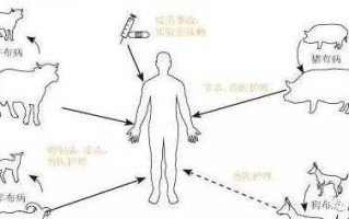 【32人感染与1人有关,32人感染与1人有关吗】