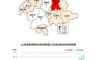 云南新增本土确诊病例15例，云南新增本土确诊病例12例1