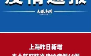 上海新增5例境外输入，上海 新增 境外输入