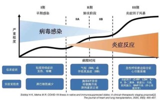 〖南京一区调为高风险·南京现有1个高风险20个中风险地区〗