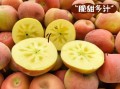 〖新疆无新增确诊病例·新疆新增无症状感染〗