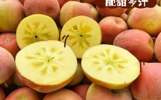 〖新疆无新增确诊病例·新疆新增无症状感染〗