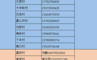 春节防疫政策查询(春节 防疫 政策)