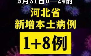 河北增本土确诊4例，河北增1例本地确诊