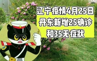 丹东疫情(丹东疫情最新情况2023)