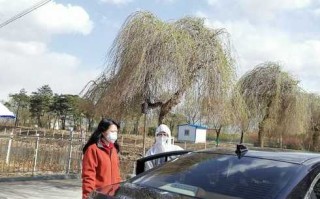 〖辽宁新增13例本土无症状_辽宁新增一例本土无症状感染者〗