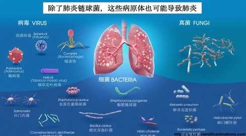 北京疫情有几种病毒