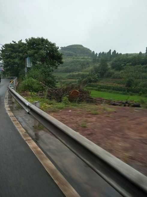 四川资中属于高风险地区吗现在