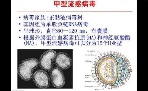 甲型H1N1流感病毒的各国疫情