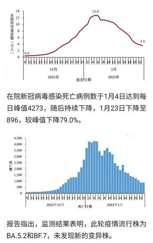 新冠感染高峰是多少