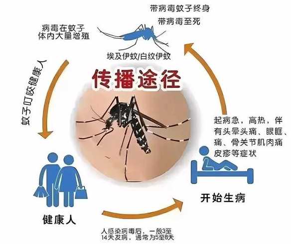 31个省区市新增本土确诊病例60例,这些病例分布在了哪些地方