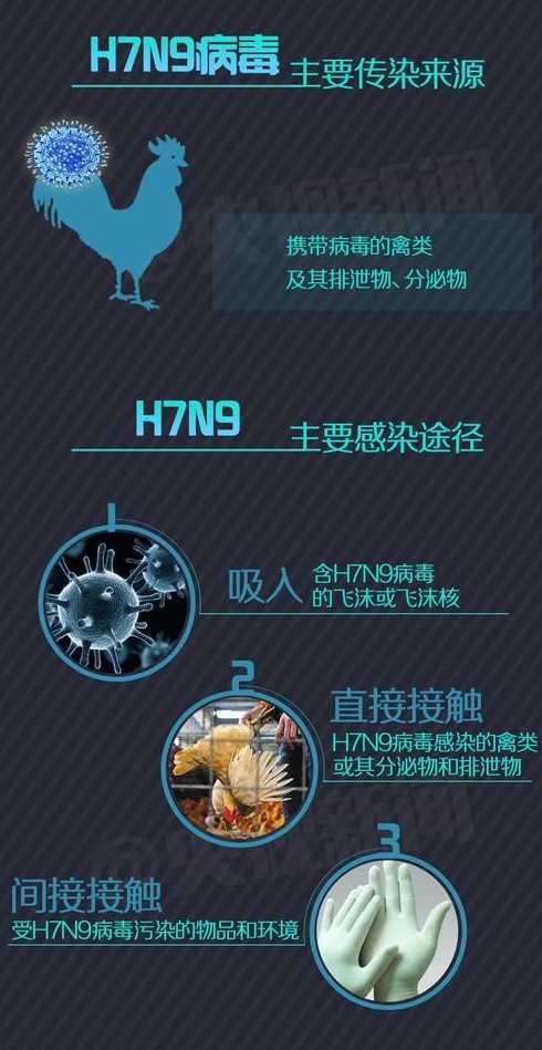 北京H7N9来了,我们以后吃鸡肉什么时候应该注意什么?