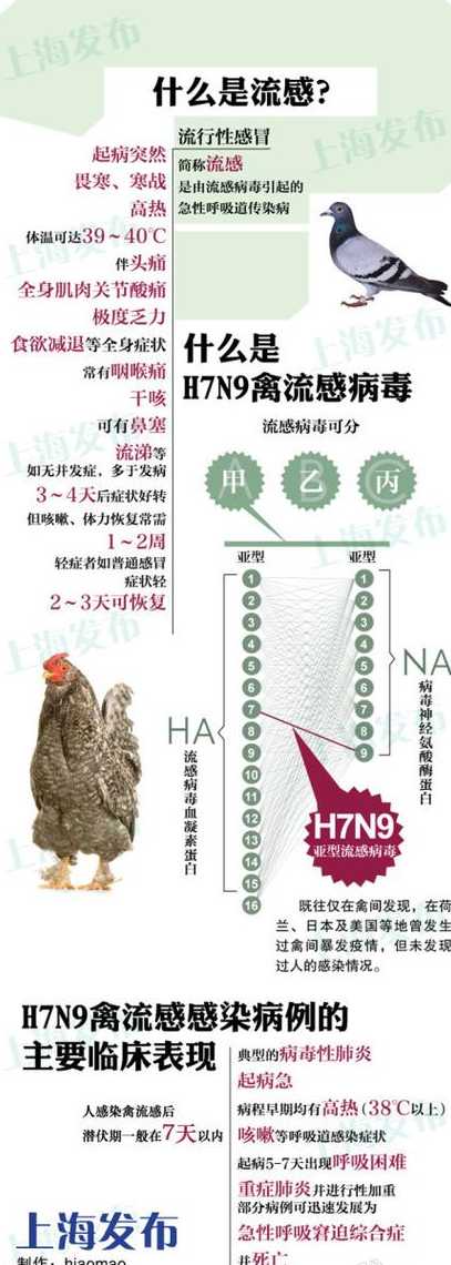 “H7N9”是什么意思?